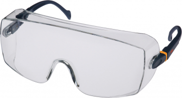 Schutzbrille 3M 2800