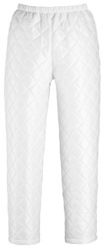 Thermohose 25690-505 Mascot Originals vorne